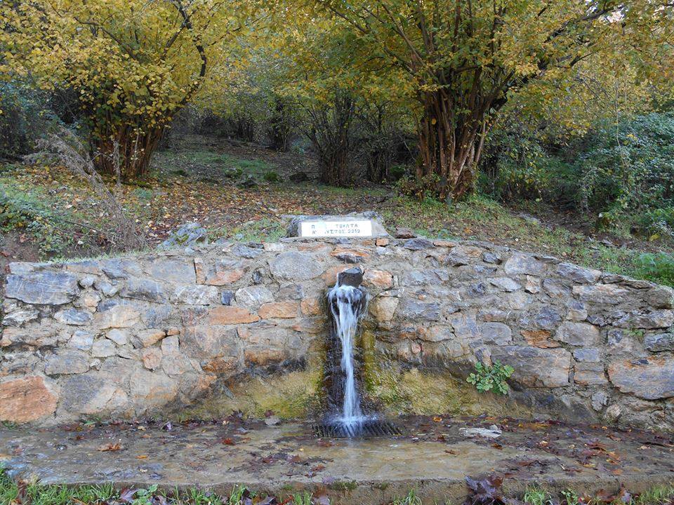 10409147_1504229606539936_810325946321486829_n