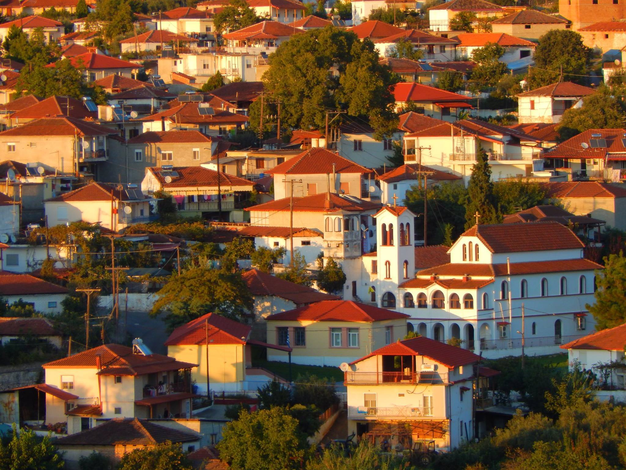 12186578_1504229433206620_3075732676024970589_o