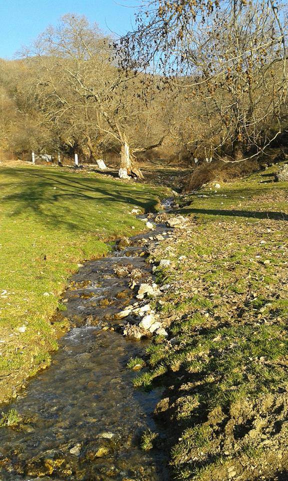 12189078_1504229323206631_5628197892857497328_n