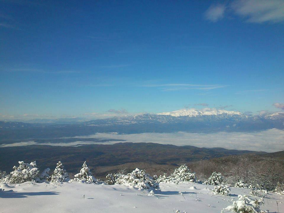 12191519_1504229163206647_1162821281642670455_n