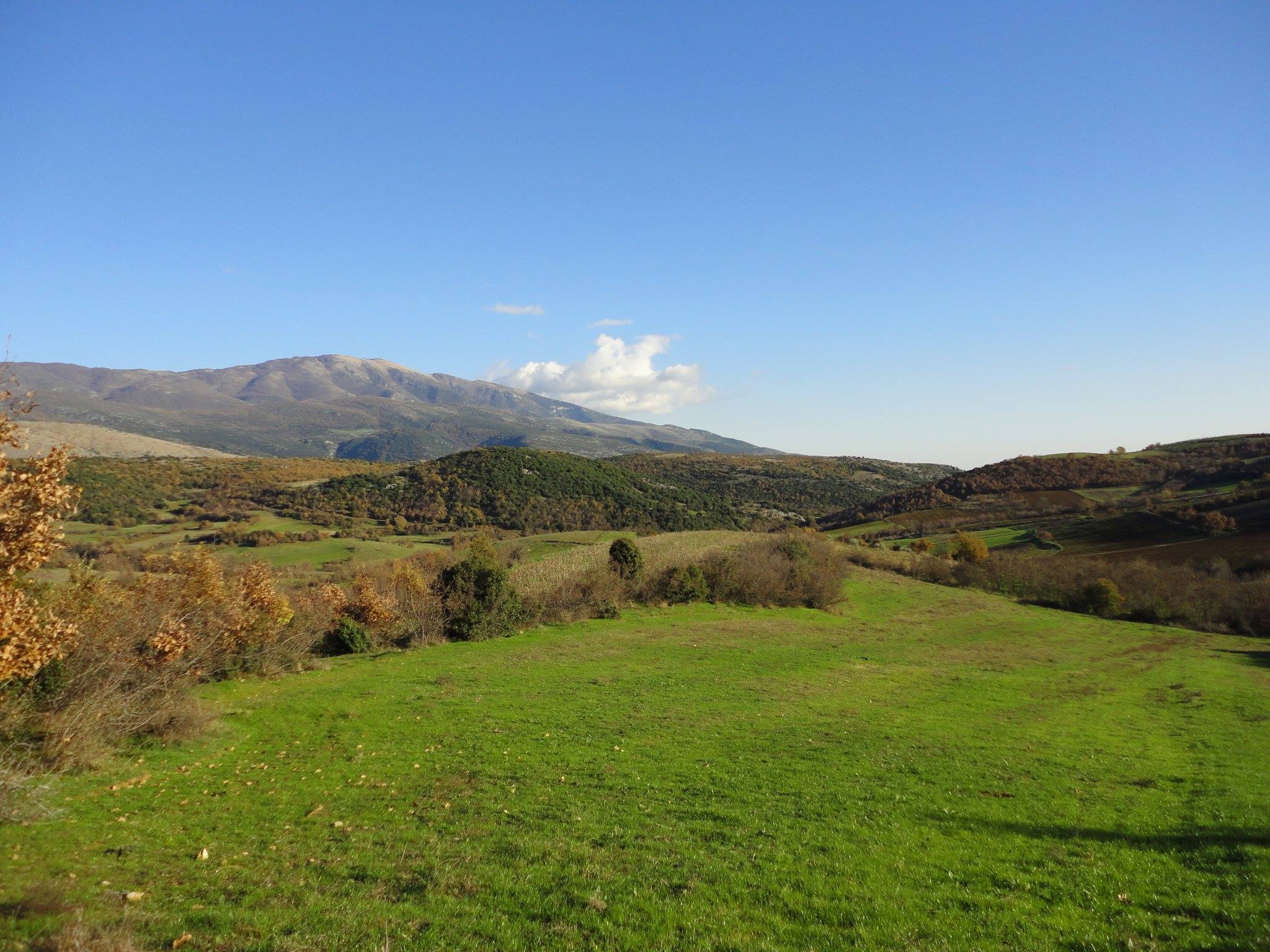 887420_1504229759873254_3056820053279981991_o