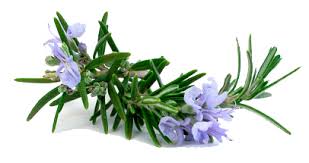 αρχείο λήψης