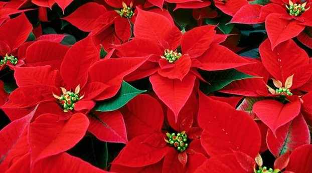 86B2A11D539FF8627BA94442AB00C255